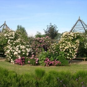 Les jardins de Roquelin et les roses © Les Jardins de Roquelin - S.Chassine