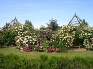 Les Jardins de Roquelin