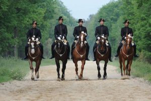 LE CADRE NOIR DE SAUMUR – ECOLE NATIONALE D’EQUITATION